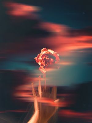 ROSES IN THE SKY