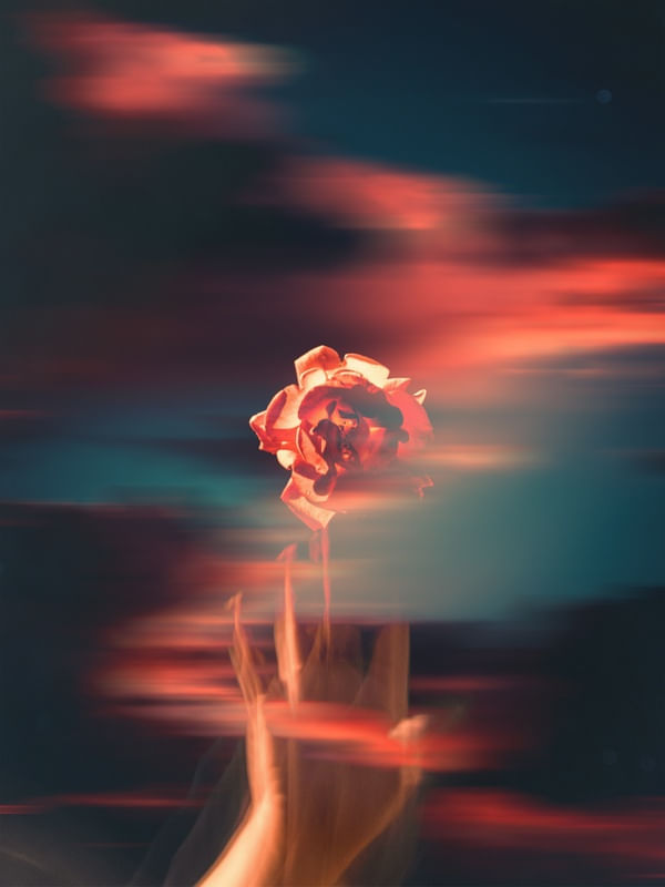 ROSES IN THE SKY