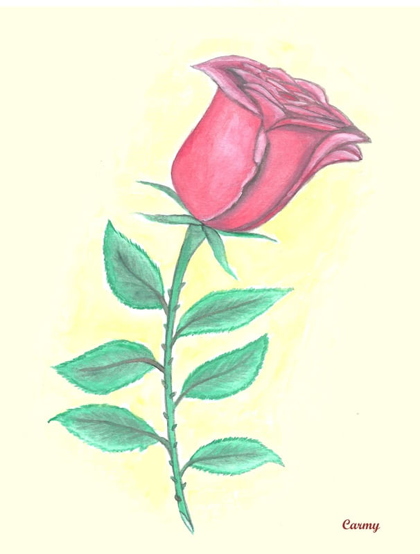 ÚNICA ROSA