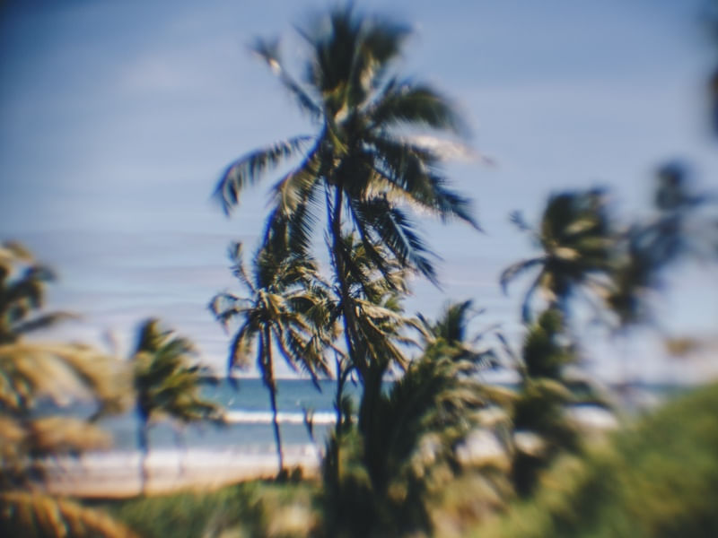 FOCUS ON NATURE