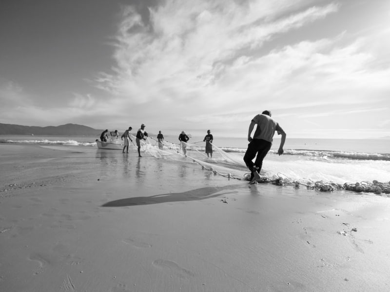 PESCADORES DOS INGLESES IV