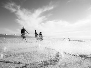 PESCADORES DOS INGLESES
