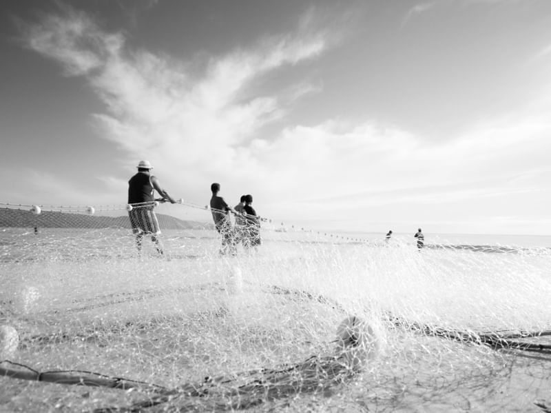 PESCADORES DOS INGLESES