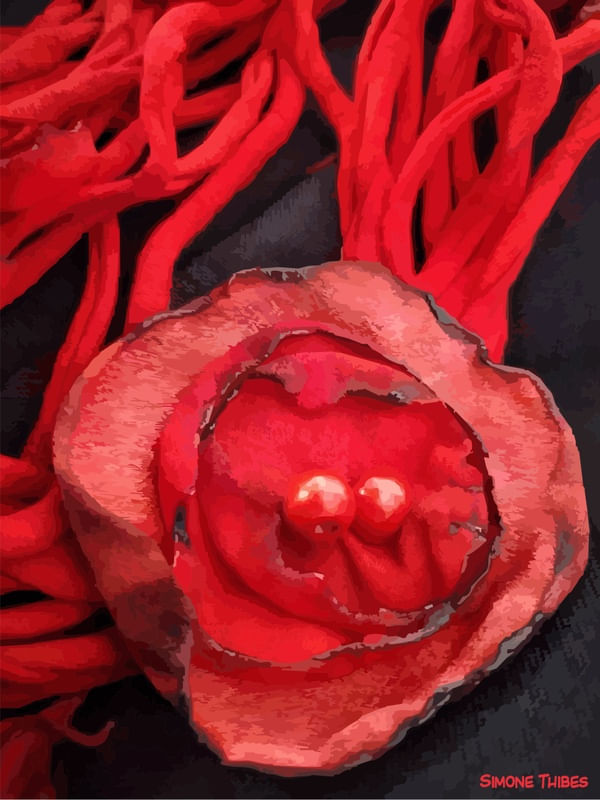 FLORAL VERMELHO FOGO 2