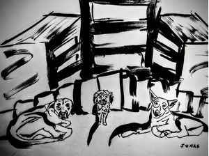 CIDADE DOS CÃES