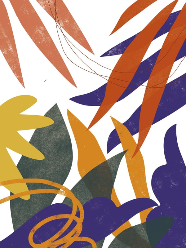 TROPICAL 008