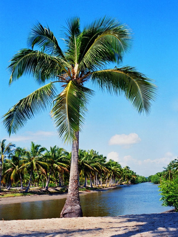 ILHA DE SANTA RITA