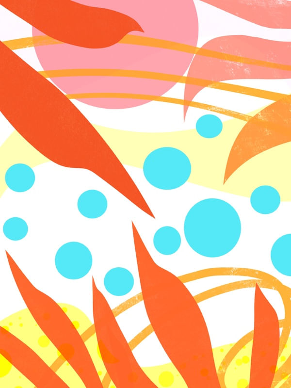 TROPICAL 0037