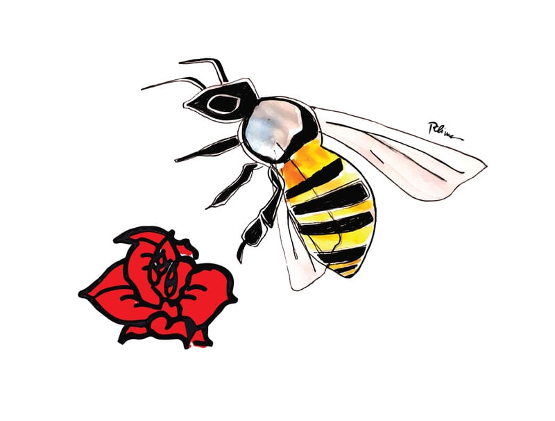 BEE