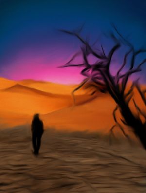 TRANSIÇÃO NO DESERTO