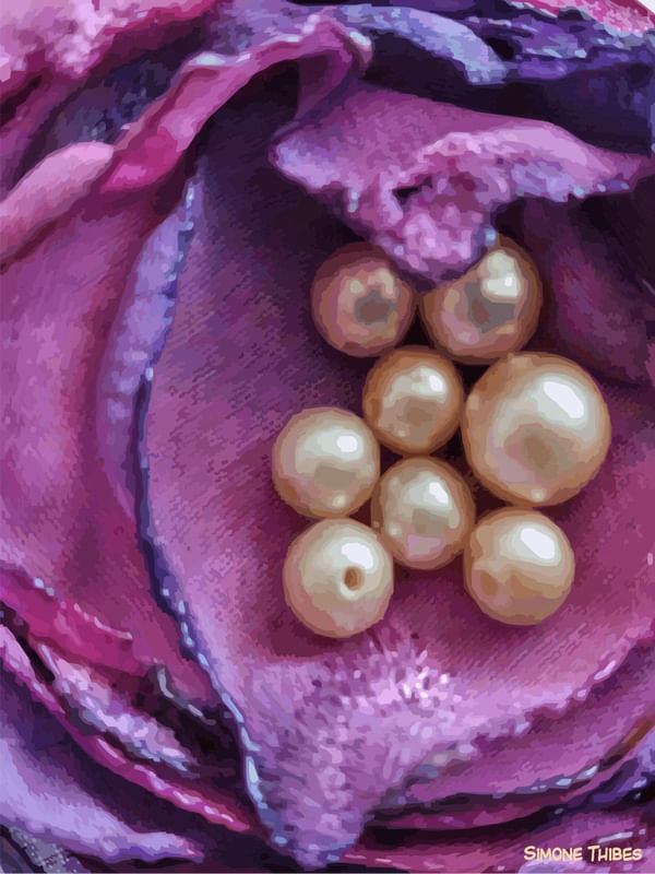 FLORAL ROSA CLOSE