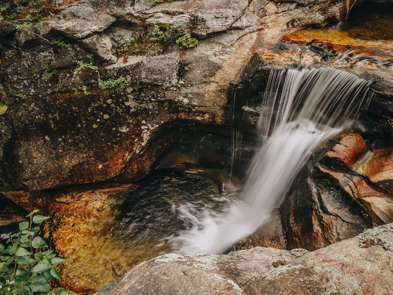 NATURE IN MAINE