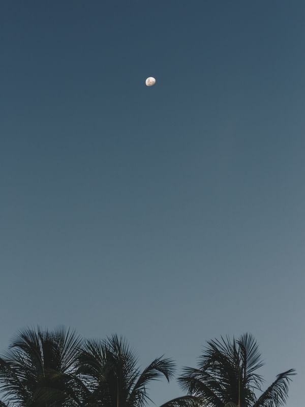 MOONLIGHT AND THE BEACH