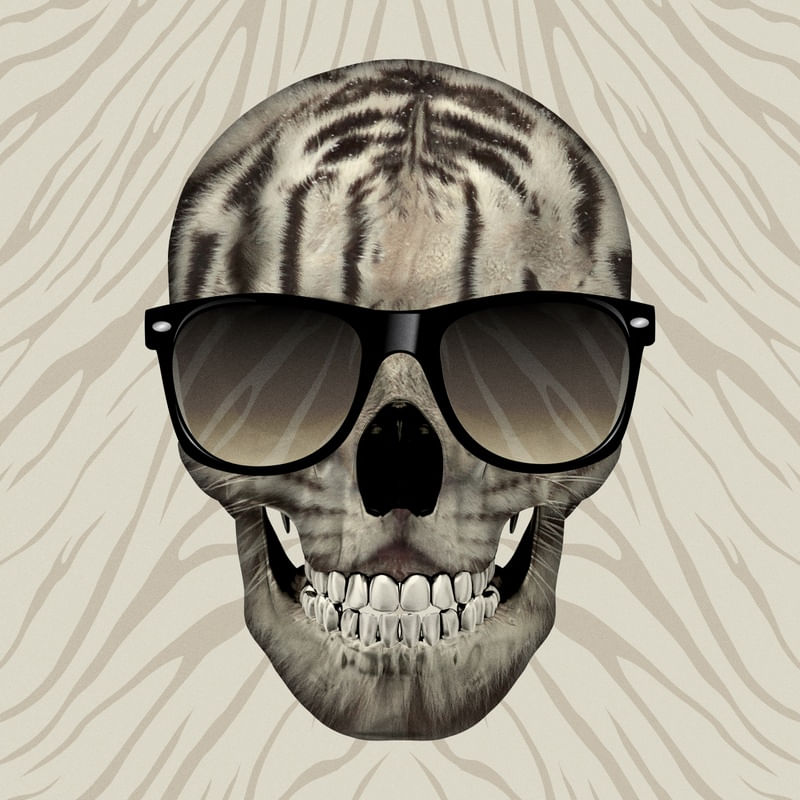 SKULL ART XXXV