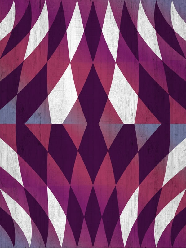 ELASTIC MESH II