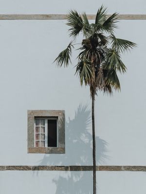 JANELA ABERTA