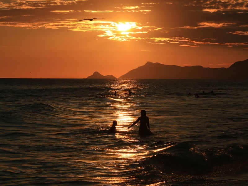 SOL, SOMBRA, VERÃO