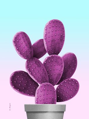 CACTUS DOIS - PINK AND BLUE