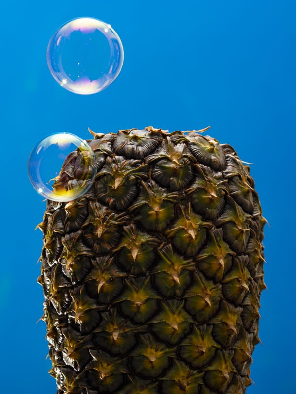 BOLHACAXI VIII