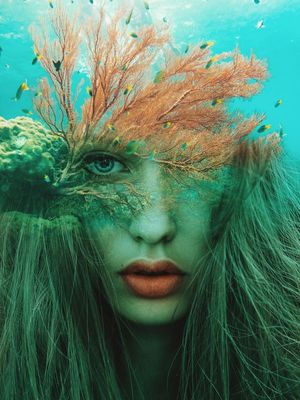 CORALINE ALGAE