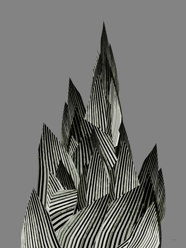 ABSTRACT-PLANTS 1984