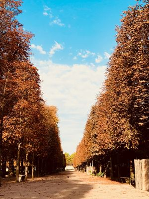 JARDIM DE TOULERIE