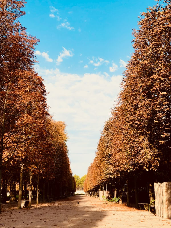 JARDIM DE TOULERIE