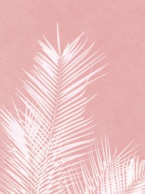 PALM LEAVES ON PINK II