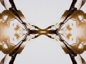 COFFEE ON INK - ESPELHADO QUADRUPLO
