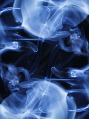 FLUID SMOKE SERIE (8)
