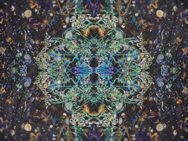 OMNISCIENCE 2