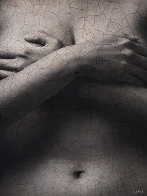 BODY AND TEXTURES IV