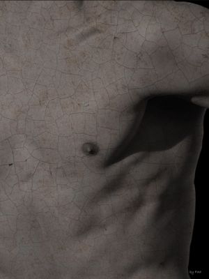 BODY AND TEXTURES II