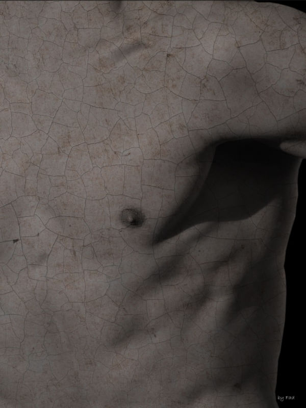 BODY AND TEXTURES II