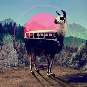 LLAMA
