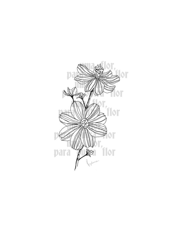 ANNE - UMA FLOR PARA OUTRA FLOR