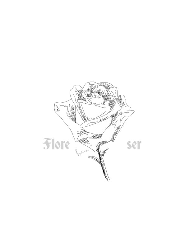ROSE - FLORE, SER