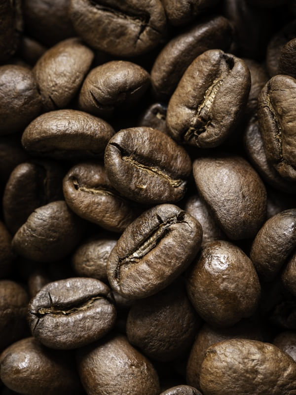 CAFÉ ESPECIAL 2