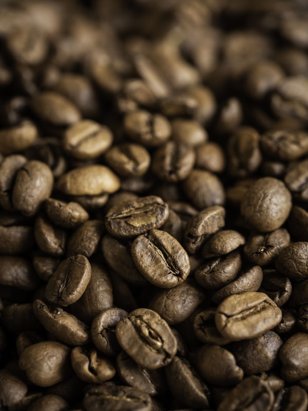 CAFÉ ESPECIAL 4