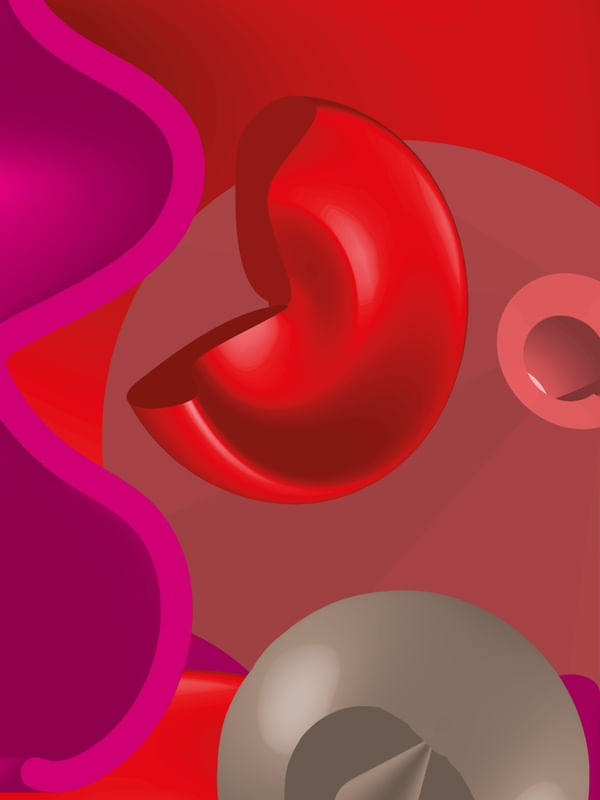 3D 8