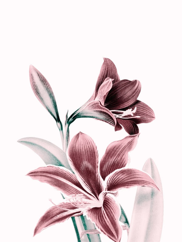 FLOWERS / 68