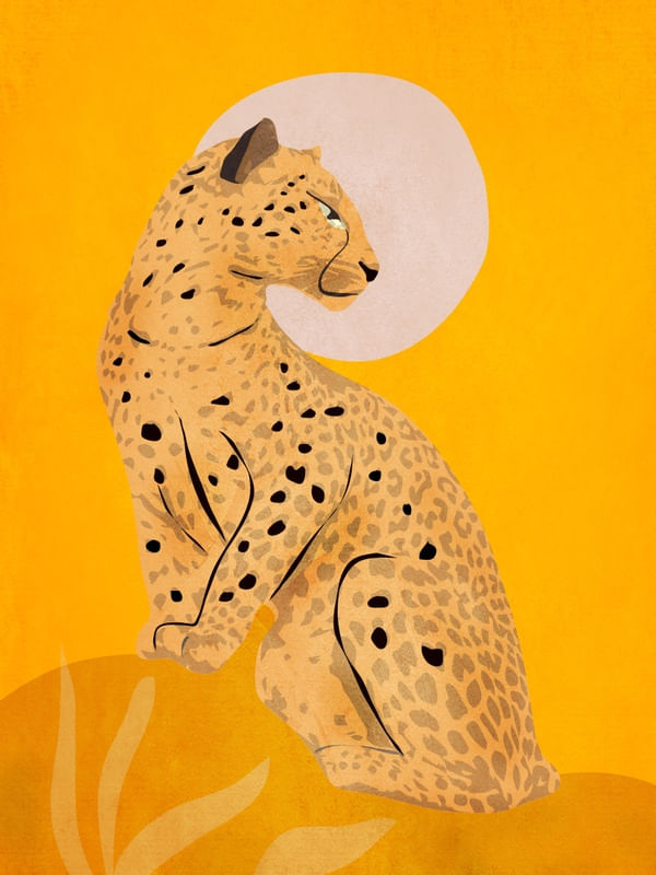 LEOPARD-TD