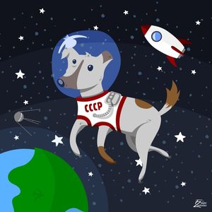 SPACE DOG
