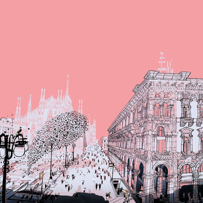 PINK CITY BY SIR DOUGLAS