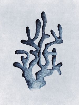 FÔLEGO N.087