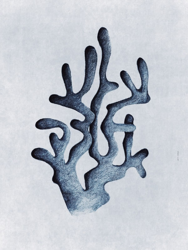 FÔLEGO N.087
