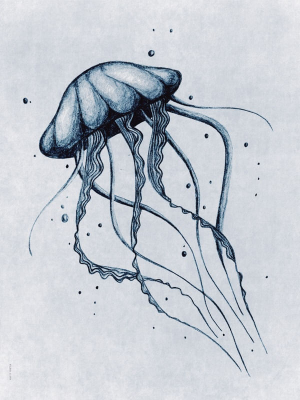 FÔLEGO N.089
