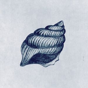 FÔLEGO N.088