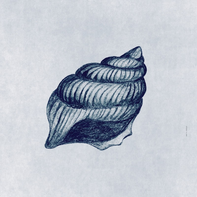 FÔLEGO N.088