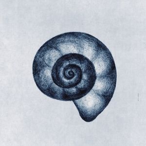 FÔLEGO N.92